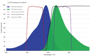 fluorescence microscope filter